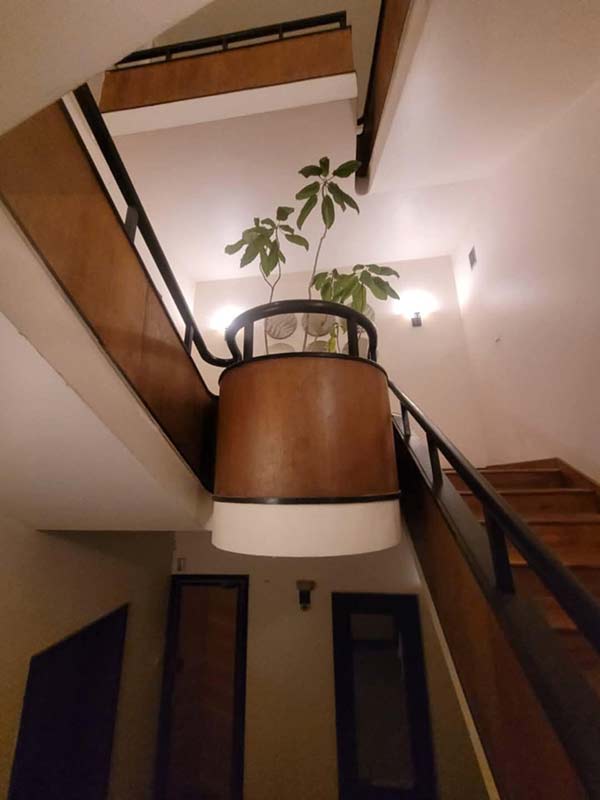 Laiptinė: mediniai laiptai su metaliniais elementais ir vazoniniu augalu ant platformos.